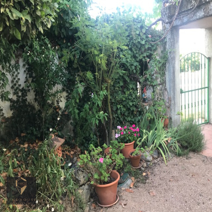 Offres de vente Maison de village L'Isle-en-Dodon (31230)